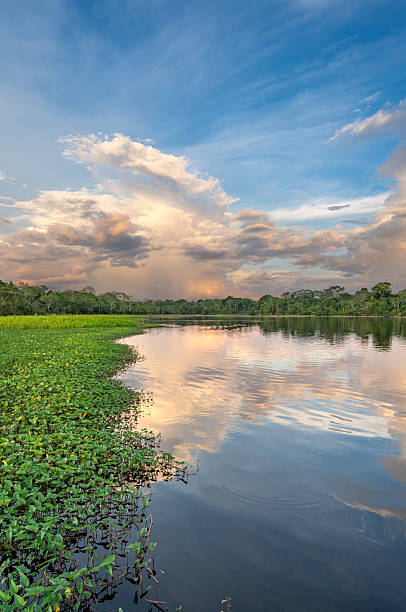 istock Dramatic Sunset Over the Beautiful Untamed Vast Amazon River and the Amazon Rainforest in the Tamshiyacu Tahuayo Regional Conservation Area Near Iquitos, Peru in South America. 2232214562