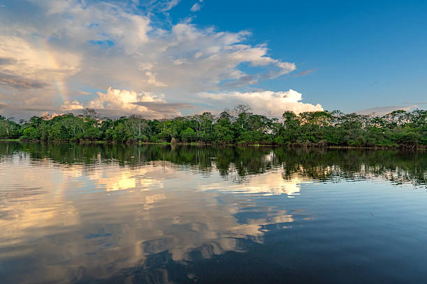 istock Dramatic Sunset Over the Beautiful Untamed Vast Amazon River and the Amazon Rainforest in the Tamshiyacu Tahuayo Regional Conservation Area Near Iquitos, Peru in South America. 2232214566