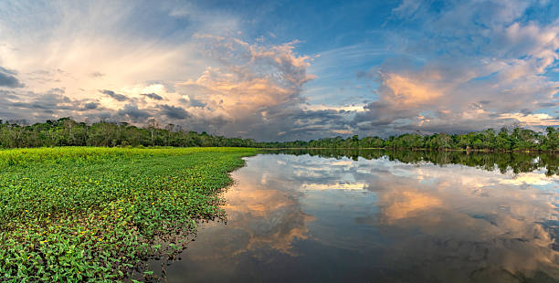istock Dramatic Sunset Over the Beautiful Untamed Vast Amazon River and the Amazon Rainforest in the Tamshiyacu Tahuayo Regional Conservation Area Near Iquitos, Peru in South America. 2232214595