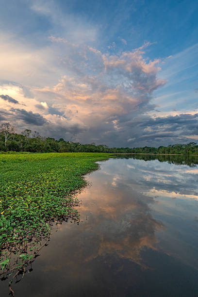 Dramatic sunset over the beautiful untamed vast Amazon River and the Amazon Rainforest in the Tamshiyacu Tahuayo Regional Conservation Area near Iquitos, Peru in South America.