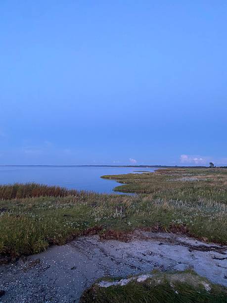 istock Dusk, coastline by Kattegat sea 2232215869