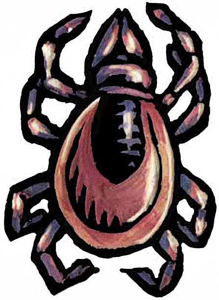 istock spot illustration of a tick insect 2232218027