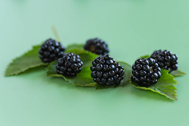 Close-up natural blackberries with leaves on a green background.