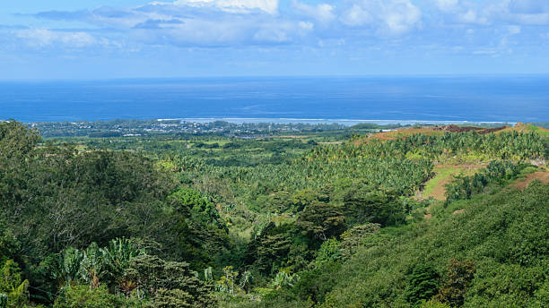 istock Tropical Beach and Turquoise Lagoon, Mauritius Island Landscape 2232225085