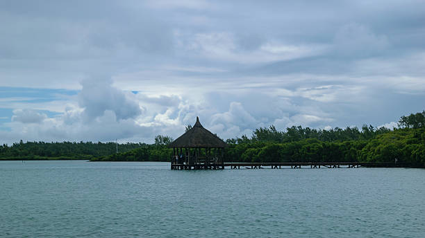 Tropical Beach and Turquoise Lagoon, Mauritius Island Landscape in August 2025