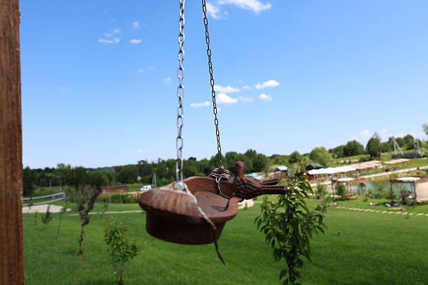 Summer outdoor resort with hammocks, wooden gazebos, volleyball court, garden sink, and lifebuoy near a lake. Captured in natural daylight with a wide-angle lens.