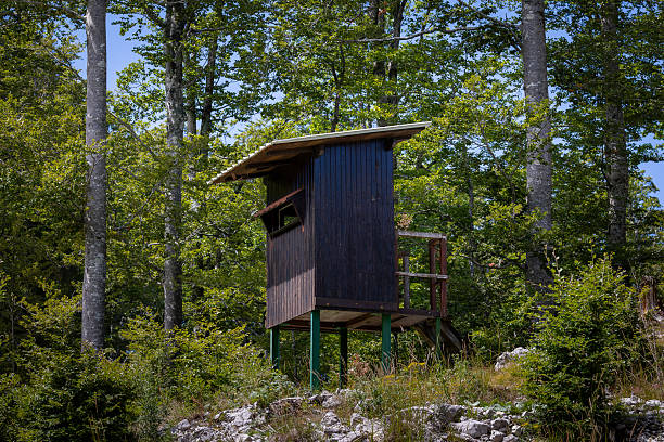 Wooden cabin in the hunting reserve, also used for observing wild animals in the wild.
