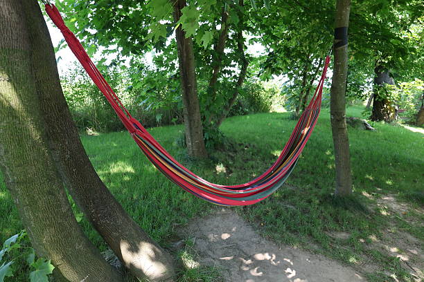 istock Relaxing Outdoor Area with Hammocks, Garden Elements, and Summer Scenery 2232230657