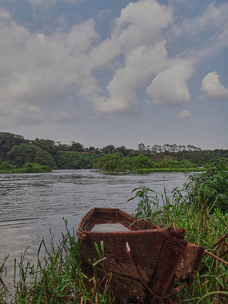 old rotten canoe lying in the dense green grass along the banks of the river Nile near Jinja falls at the source of the Nile from lake Victoria.