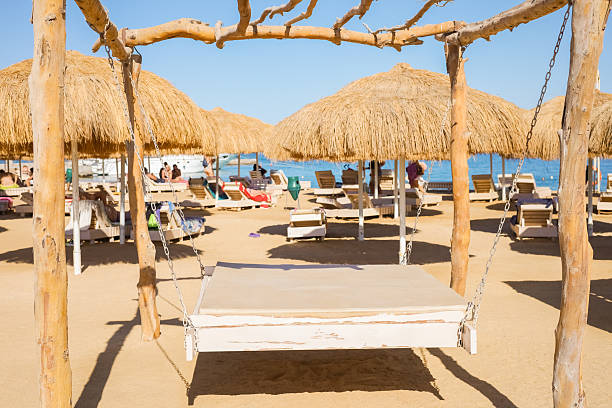 Wooden swing and straw umbrellas on sandy beach.