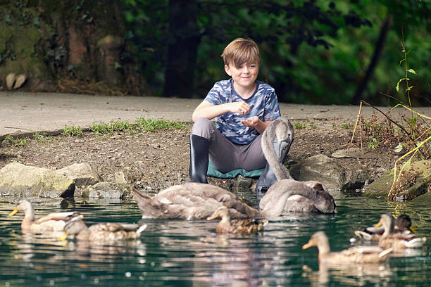 A family moment: a mother and her young son feed birds near the riverbank. A mature female and a child are feeding bread to ducks on the lake.