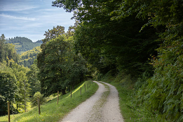 Country road in nature, tree area with cloudy blue sky background.\nSölden - Germany.