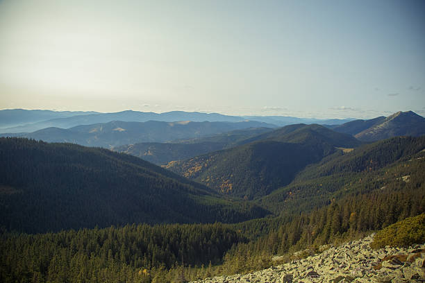 Landscapes of the Carpathian Mountains with rural villages, evergreen forests, wooden structures, wildflowers, and foggy hills. Nature and countryside in different seasons and light.