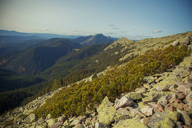 istock Carpathian Mountain Scenery and Rural Nature Details 2232251060
