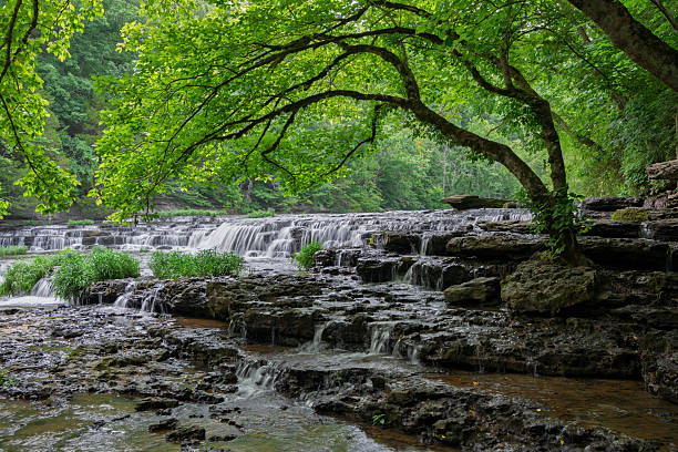 Ozarks in the morning