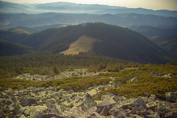 Landscapes of the Carpathian Mountains with rural villages, evergreen forests, wooden structures, wildflowers, and foggy hills. Nature and countryside in different seasons and light.