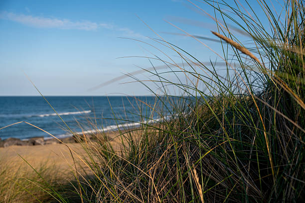istock High up view over the Norfolk Coast 2232252209