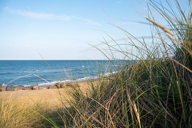 istock High up view over the Norfolk Coast 2232252731