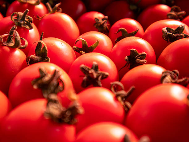Market Stall Bursts With Fresh Red Tomatoes Under Morning Sunlight at Vibrant Farmers Market