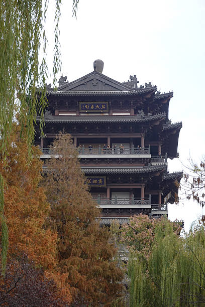istock Close vertical study of pagoda amid willows 2232253774
