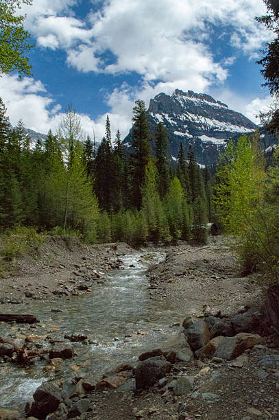 istock Landscape in Glacier National Park, Montana 2232254480