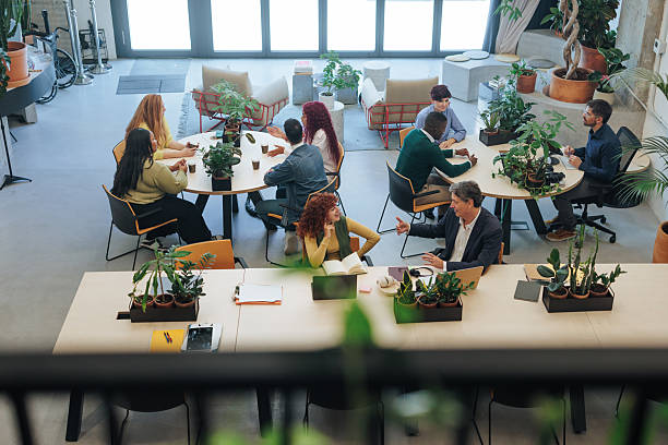 istock Coworkers collaborating and talking about projects in modern office 2232256848