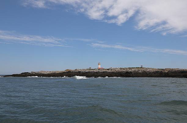 istock Approaching Machias Seal Island, Maine by boat 2232258473