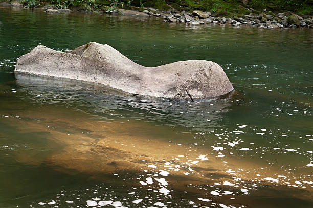 Stone texture. Huge stone in mountain river. Large stones in the mountains. Natural background