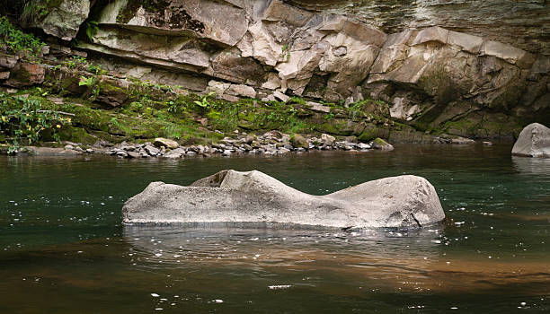 Huge stone in mountain river. Large stones in the mountains. Natural background