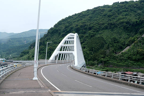 Location: Higashi-Iya, Miyoshi City, Tokushima Prefecture, Japan\nThis bridge is Obashi.