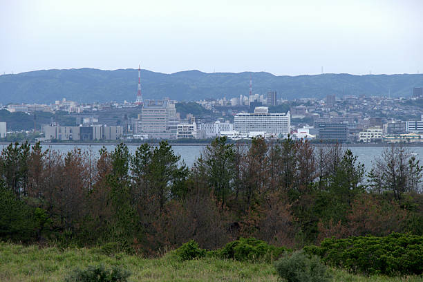 View of Kagoshima City on Kagoshima bay, from Sakurajima peninsula, Kyūshū, Japan.