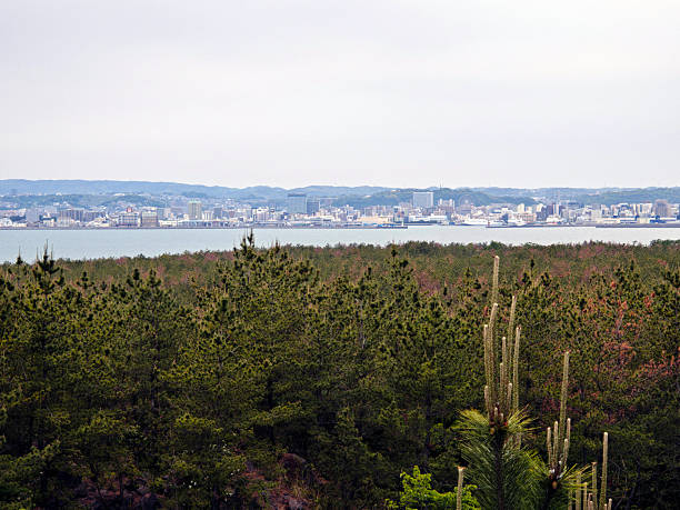 View of Kagoshima City on Kagoshima bay, from Sakurajima peninsula, Kyūshū, Japan.