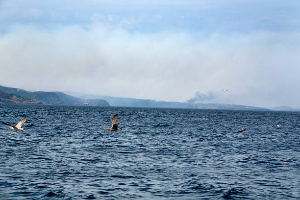 Off Carbonear Island, clouds of smoke from the out of control Kingston Fire billow over the coast of Conception Bay where wildfire flames have devoured over 200 structures including homes in Kingston, Small Point, Broad Cove, Blackhead, Adams Cove, Western Bay, Ocher Pit Cove and Northern Bay.