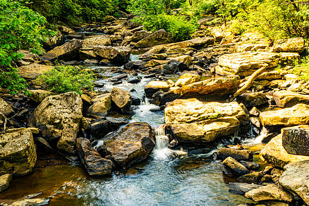 Rocky stream in Babcock State Park in West Virginia