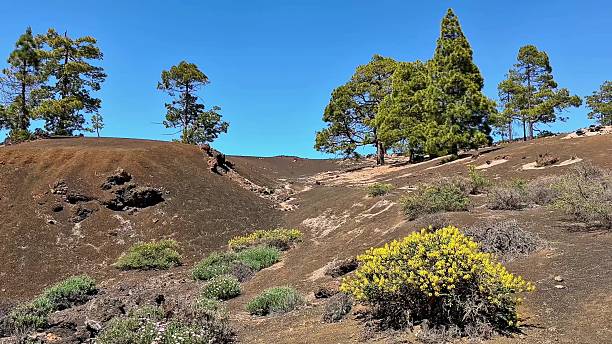 istock Breathtaking and Scenic Volcanic Landscape Enveloped with Lush Vegetation Beneath a Clear Blue Sky 2232283364