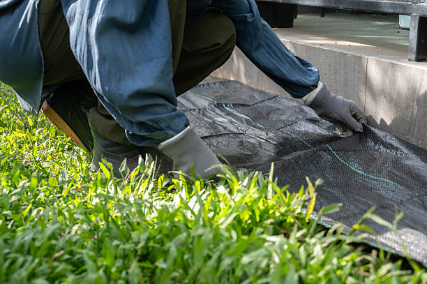 It works by blocking sunlight, which is essential for plant growth, and essentially suffocating weeds.
