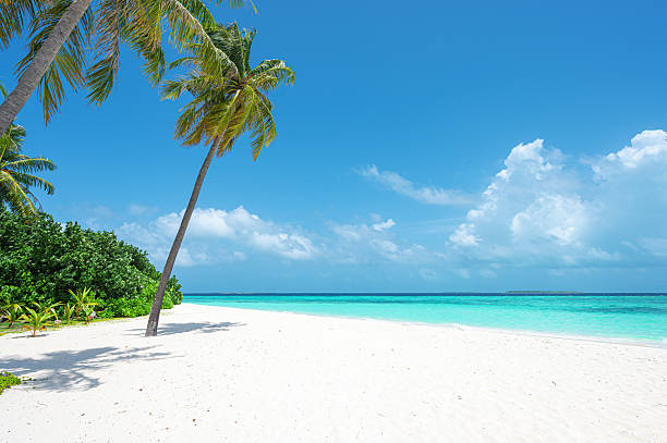 istock Tropical paradise beach in Maldives 2232288868