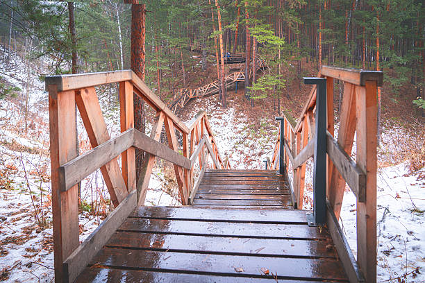 Exploring autumn trails in a tranquil forest during the transition from October to November, wooden stairs across the ravine