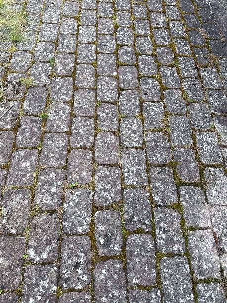 Detailed close-up of outdoor paving slabs affected by flisepest, showing visible algae, moss, and lichen discoloration on the surface. Common problem on patios, driveways, and garden walkways in Northern Europe.