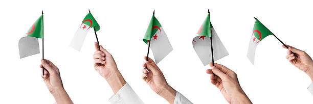 The Algeria flag in hand in different angles on a white background.