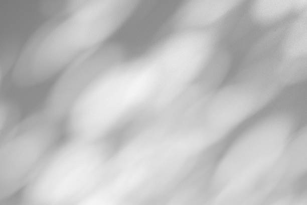 istock Wall interior background, studio and backdrops show products.with shadow from window color white . background for text insertion and presentation product 2232295005