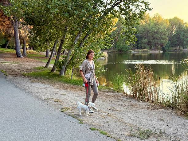 istock Walking the dog in the park 2232296953