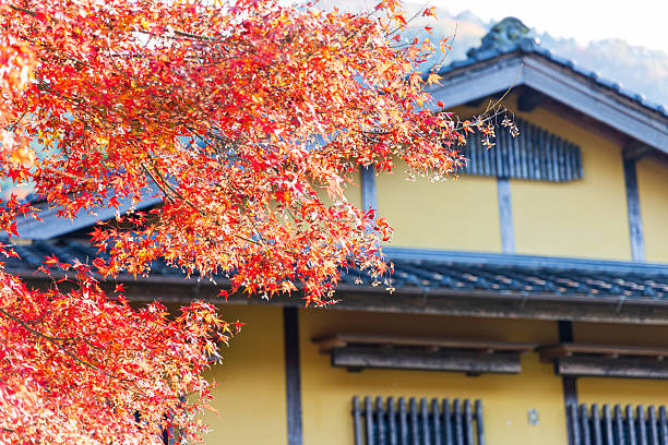 istock Autumn leaves on the mountain 2232300512