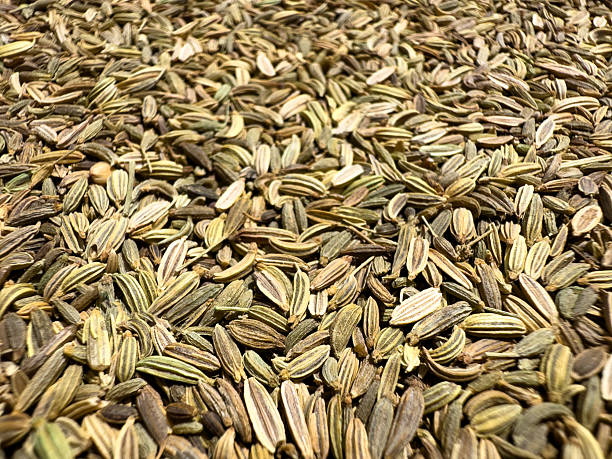 istock Fennel Seeds Texture Organic Background. Selective Focus with Extreme Closeup View. 2232300714