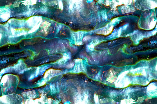 istock Abstract background of pearlescent blue and purple abalone shell 2232302241