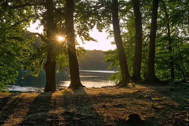 istock Beautiful sunset view by a tranquil lake surrounded by lush trees in an early evening setting 2232307461