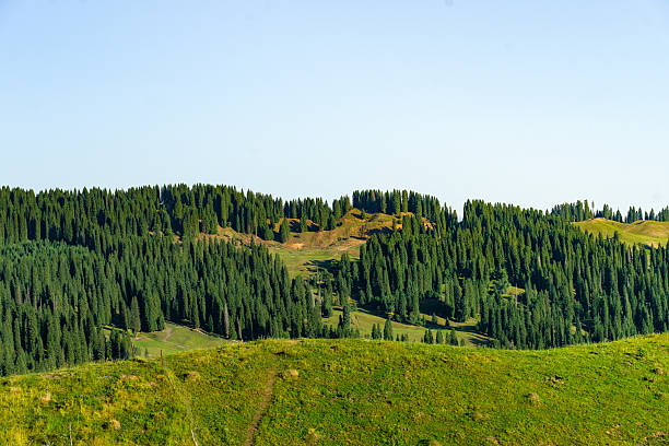 The beautiful mountains, plains, forests and lush trees, along with the azure sky, exude a pleasant atmosphere.