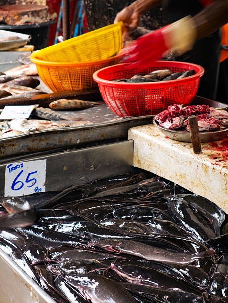 istock Fresh Fish Display in Southeast Asian Local Market Stall. 2232309429