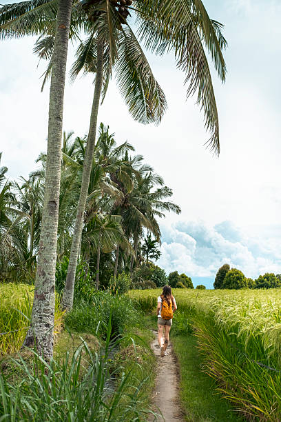 istock A woman with yellow backpack walks on a path through high rice fields in Bali. 2232310721