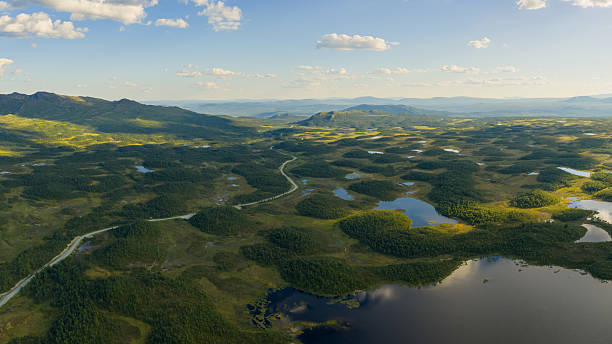 istock Lake and Forest Landscape in Summer, Sweden 2232312425